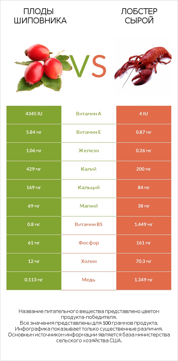 Плоды шиповника vs Лобстер сырой infographic