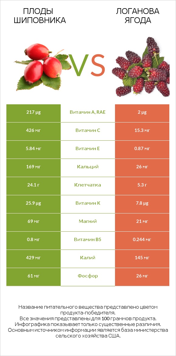 Плоды шиповника vs Логанова ягода infographic