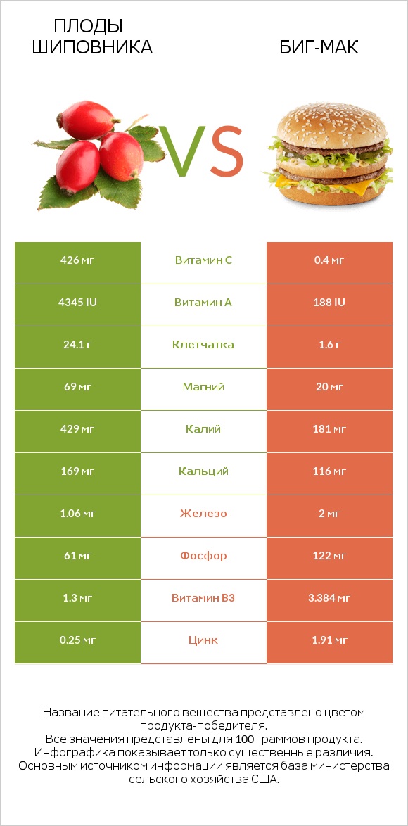 Плоды шиповника vs Биг-Мак infographic