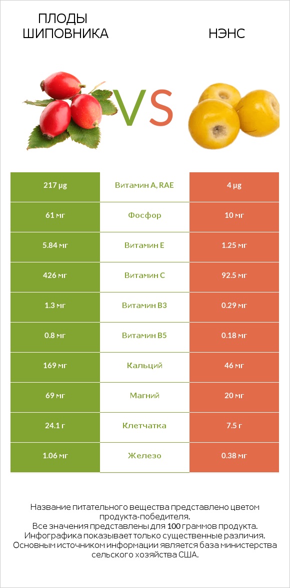 Плоды шиповника vs Нэнс infographic