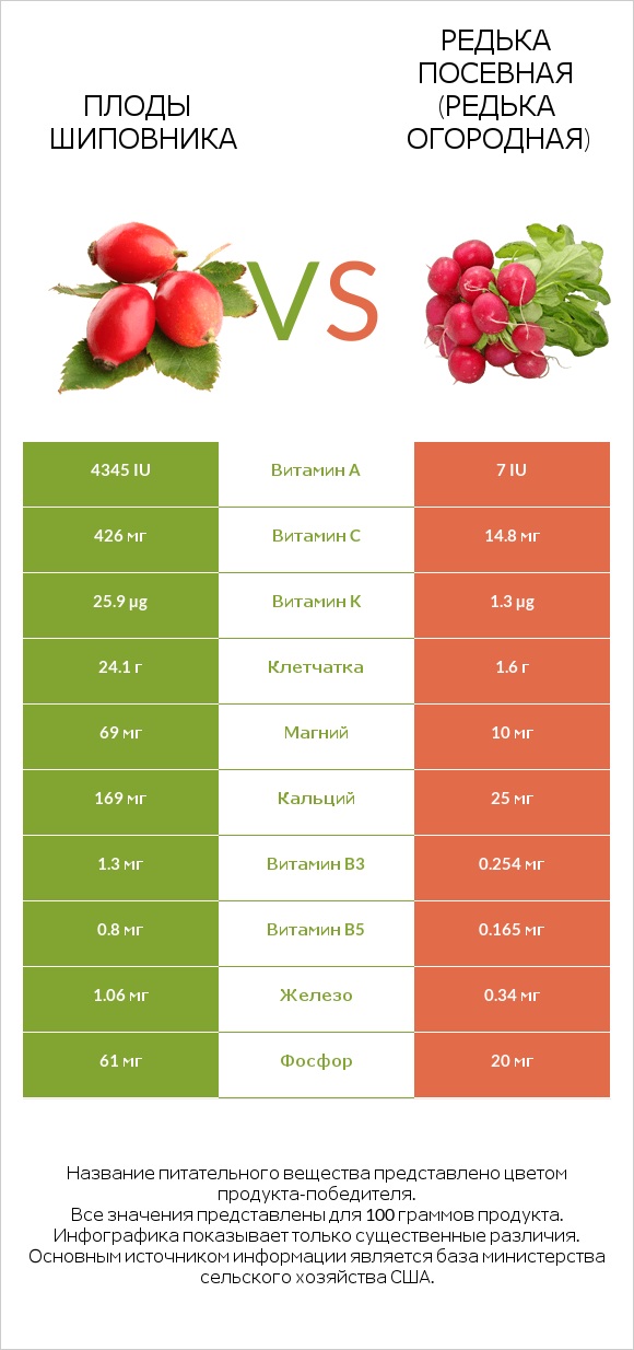 Плоды шиповника vs Редька посевная (Редька огородная) infographic