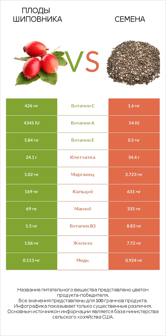 Плоды шиповника vs Семена infographic