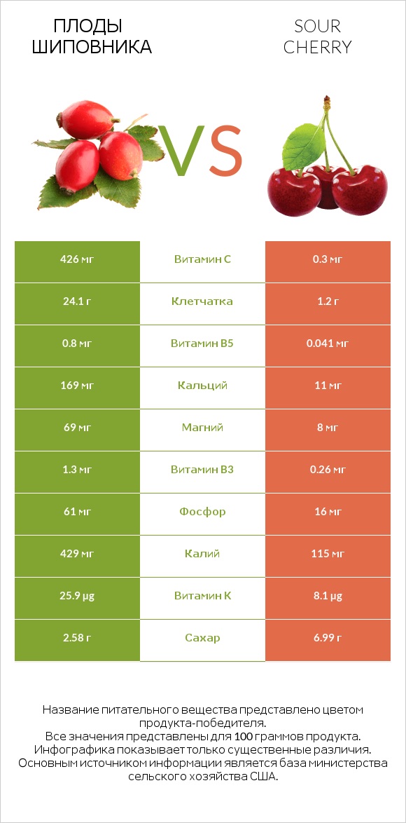 Плоды шиповника vs Вишня обыкновенная infographic