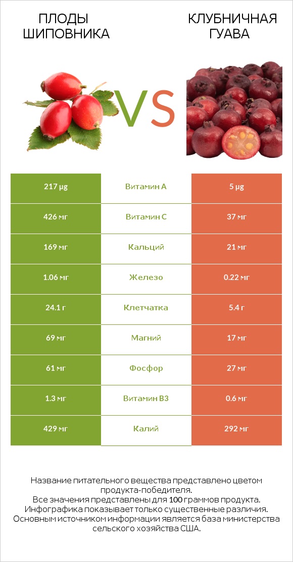 Плоды шиповника vs Клубничная гуава infographic