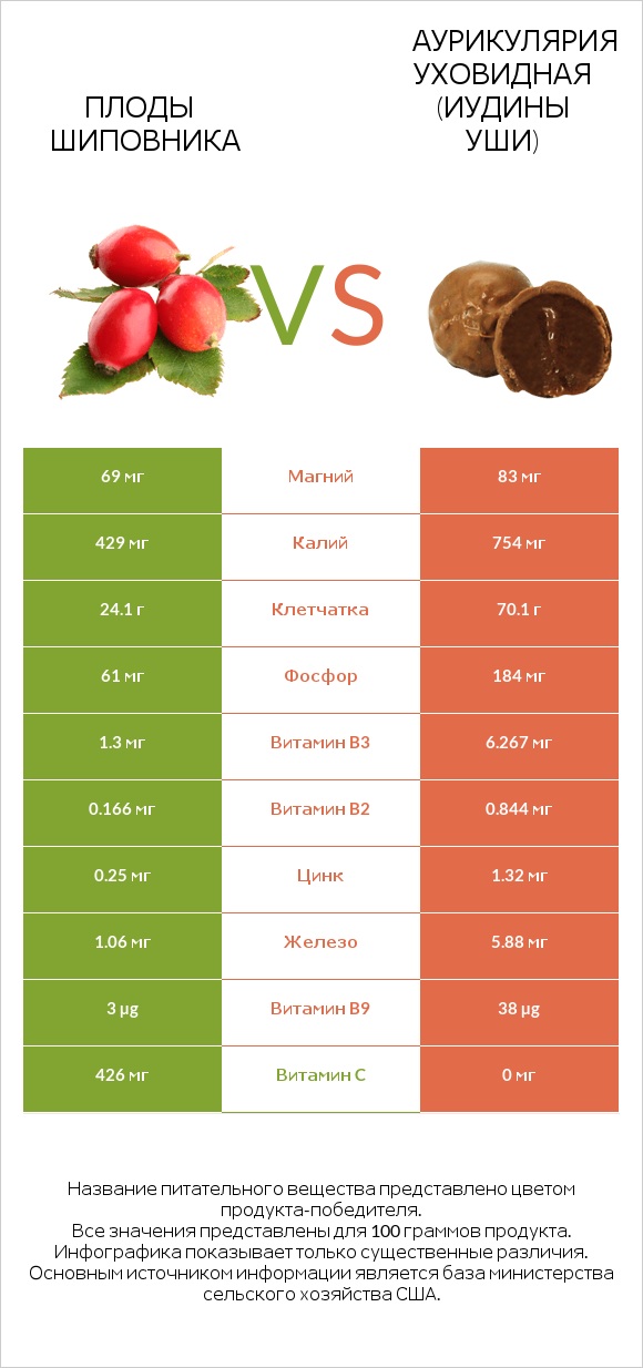 Плоды шиповника vs Аурикулярия уховидная (Иудины уши) infographic