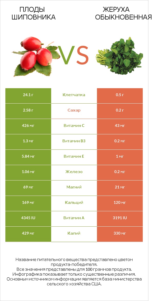 Плоды шиповника vs Жеруха обыкновенная infographic