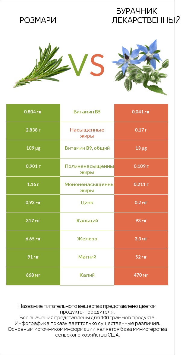 Розмари vs Бурачник лекарственный infographic