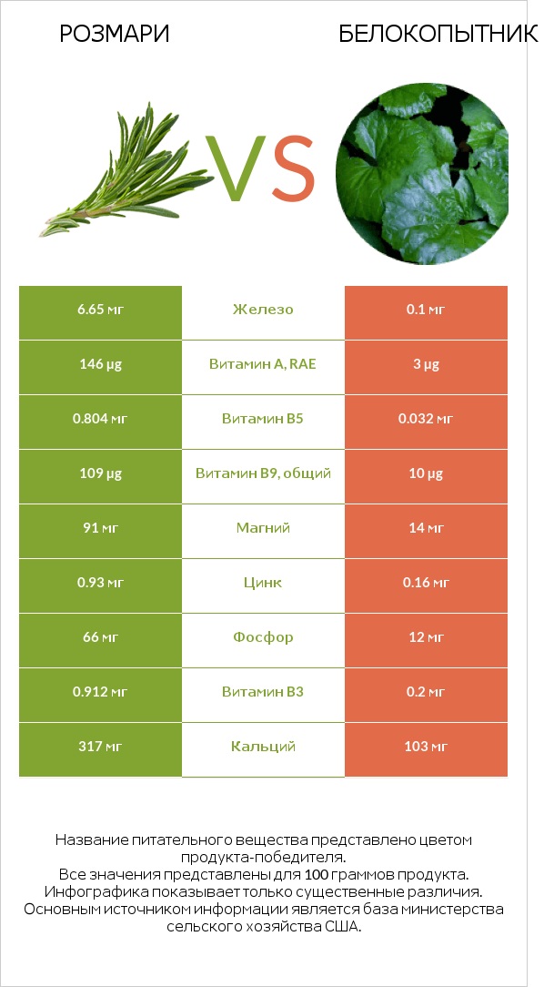 Розмари vs Белокопытник infographic