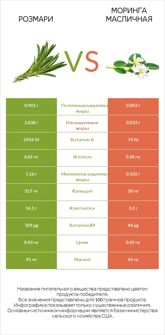 Розмари vs Моринга масличная infographic