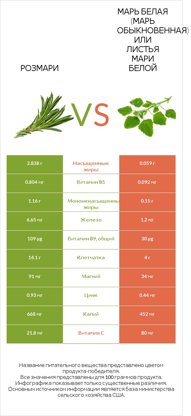 Розмари vs Марь белая (Марь обыкновенная) или Листья мари белой infographic