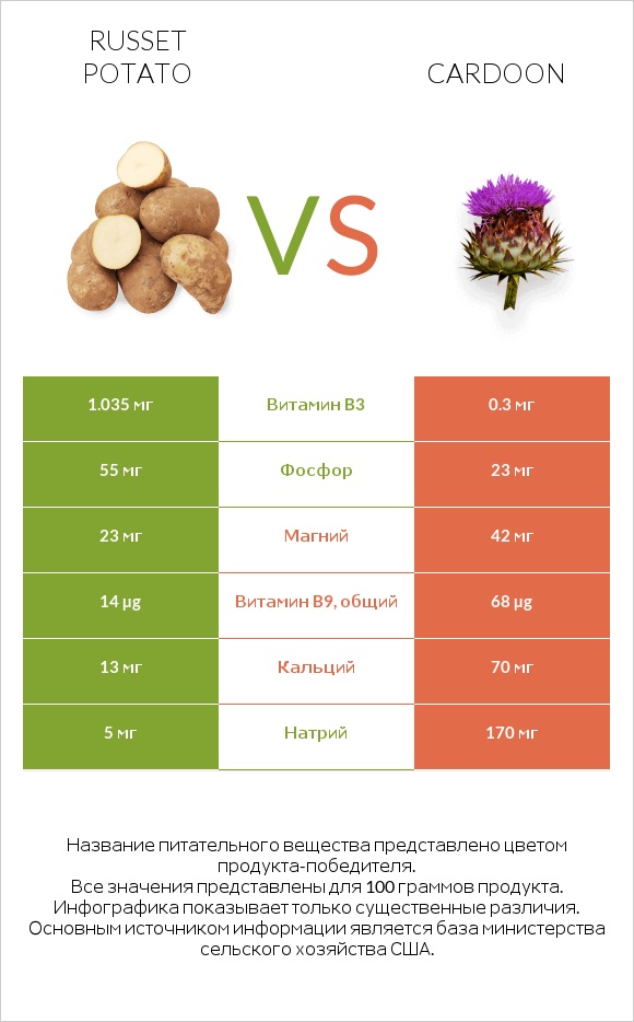 Russet potato vs Cardoon infographic