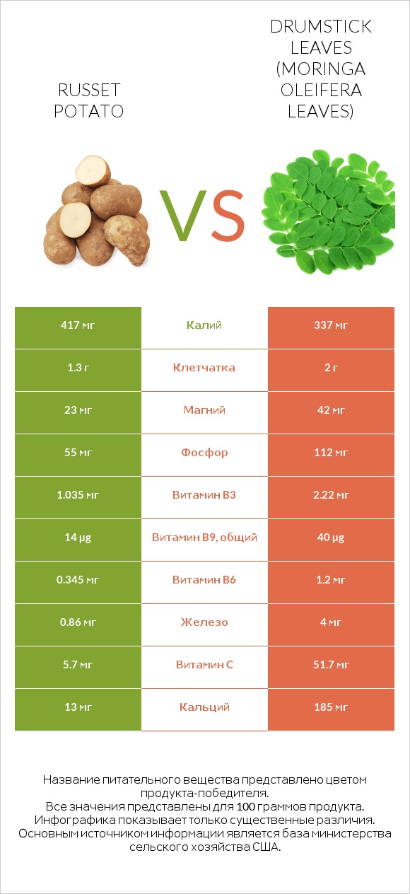 Russet potato vs Drumstick leaves infographic