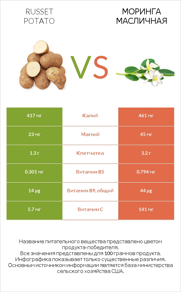 Russet potato vs Моринга масличная infographic