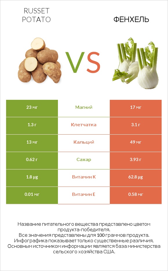 Russet potato vs Фенхель infographic