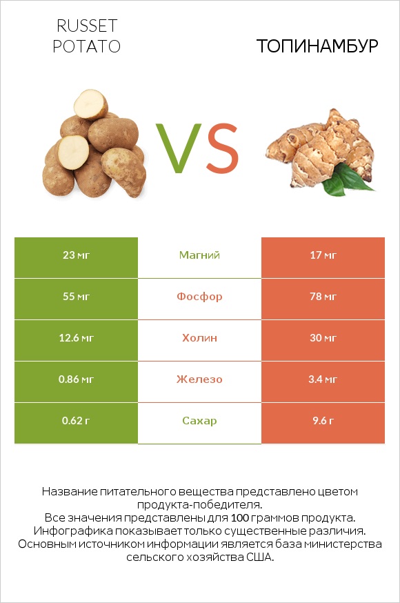 Russet potato vs Топинамбур infographic