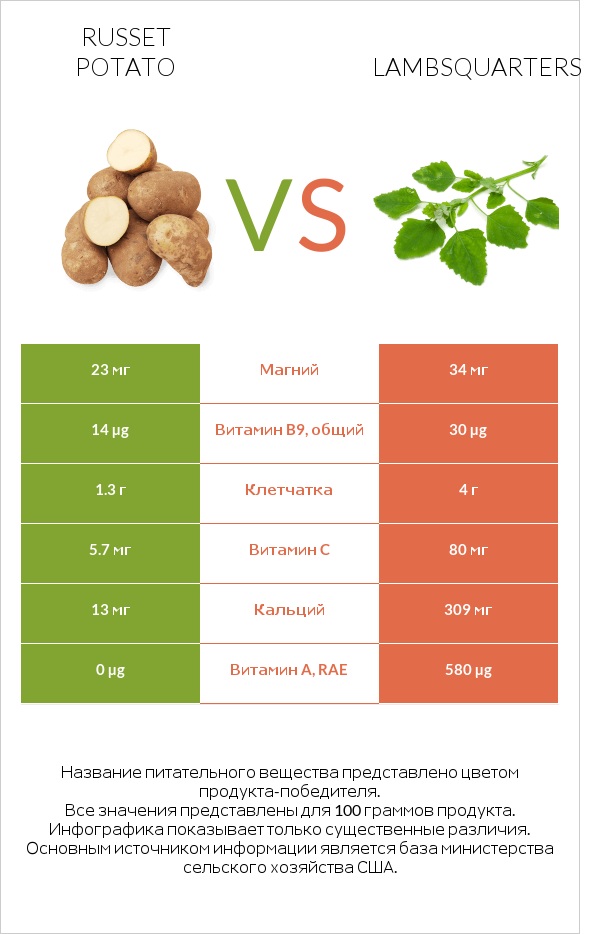 Russet potato vs Lambsquarters infographic