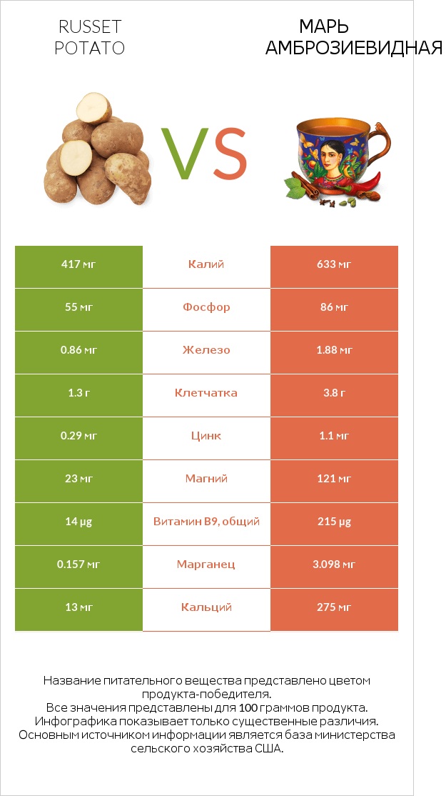 Russet potato vs Марь амброзиевидная infographic