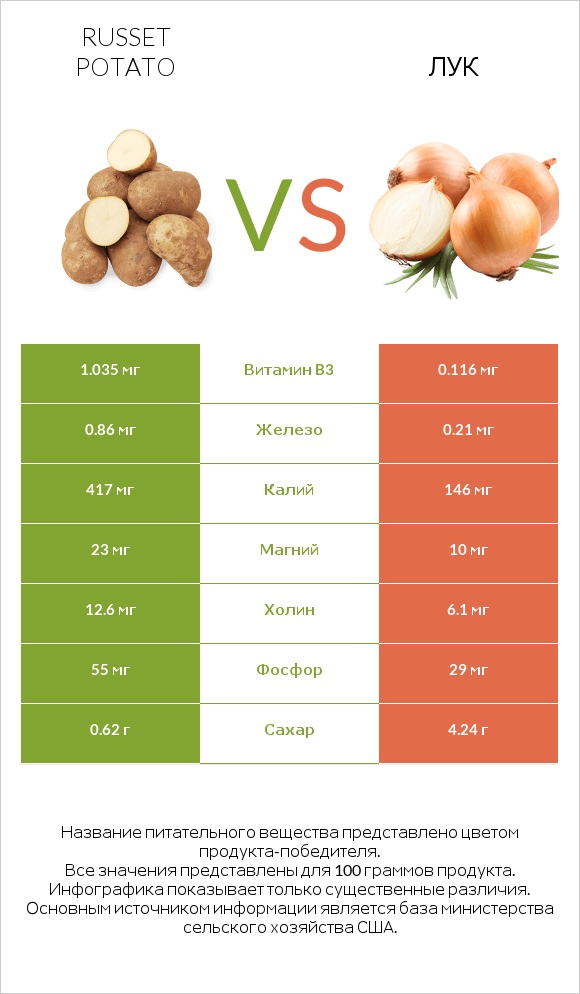 Russet potato vs Лук infographic