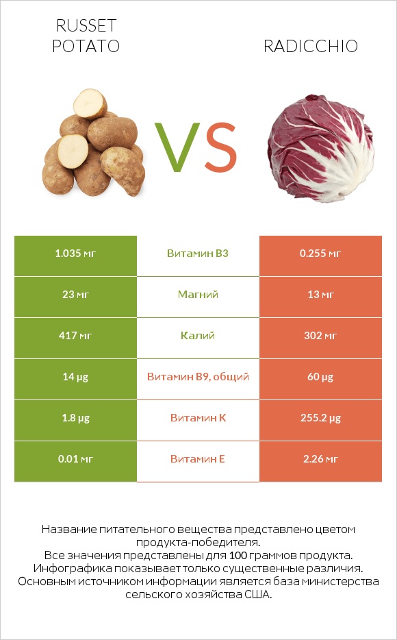 Russet potato vs Radicchio infographic