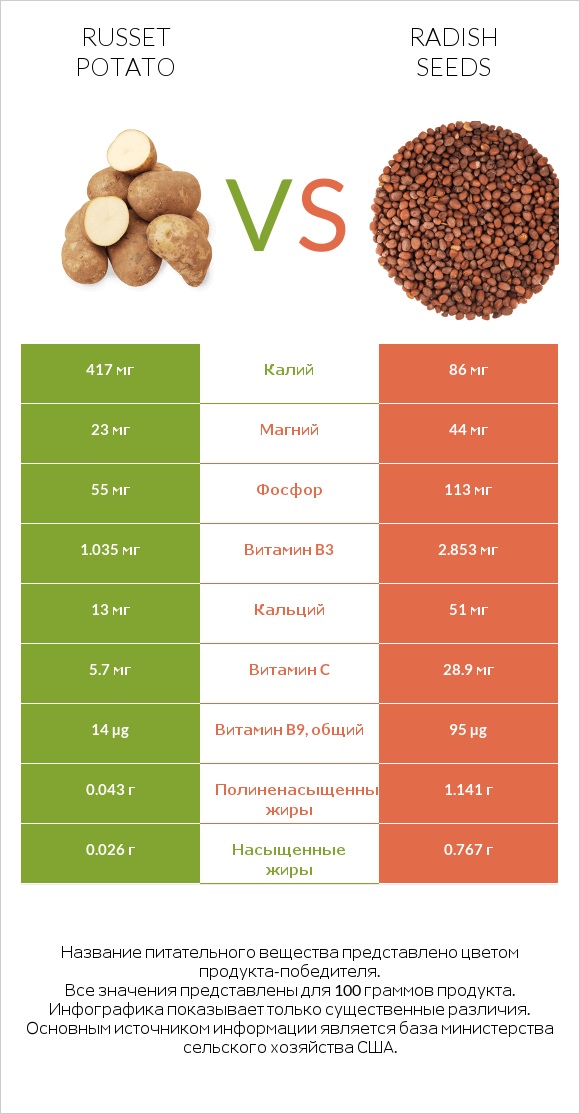 Russet potato vs Radish seeds infographic