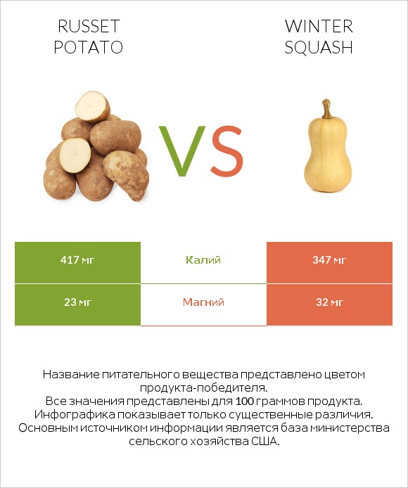 Russet potato vs Winter squash infographic