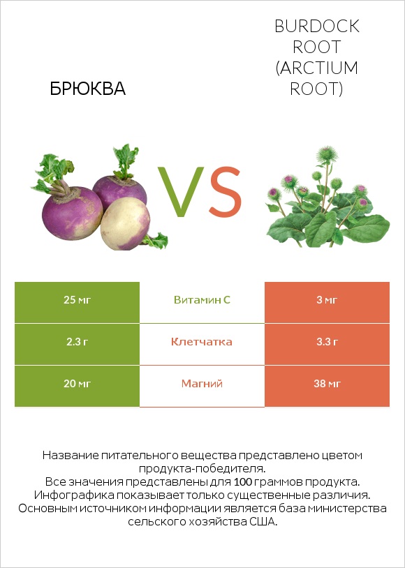 Брюква vs Burdock root infographic