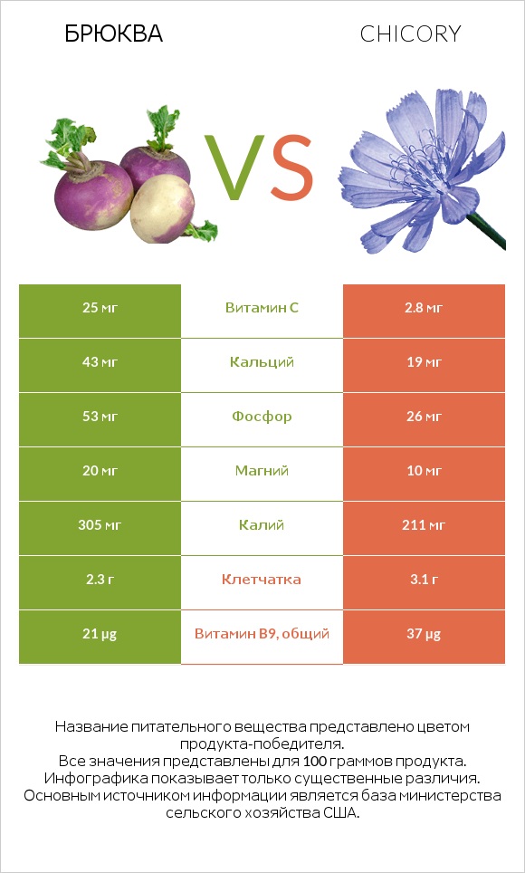 Брюква vs Chicory infographic
