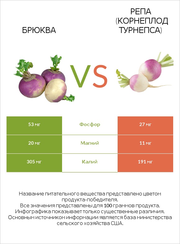 Брюква vs Турнепс (репа) infographic