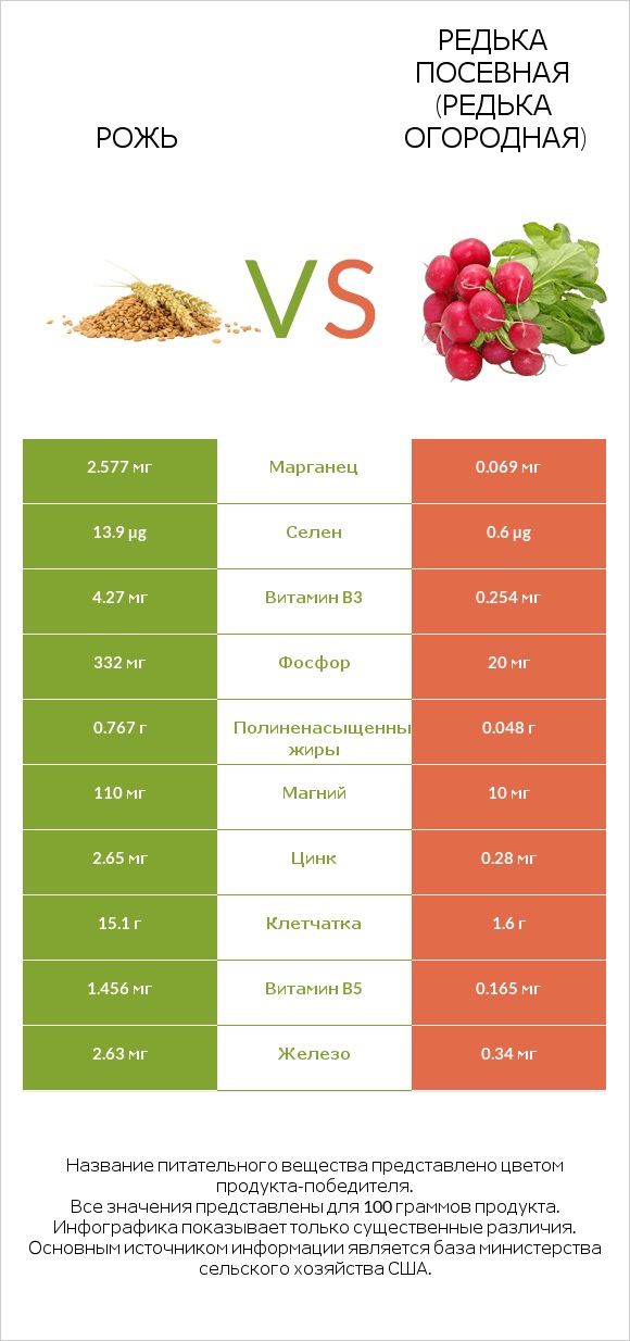 Рожь vs Редька посевная (Редька огородная) infographic