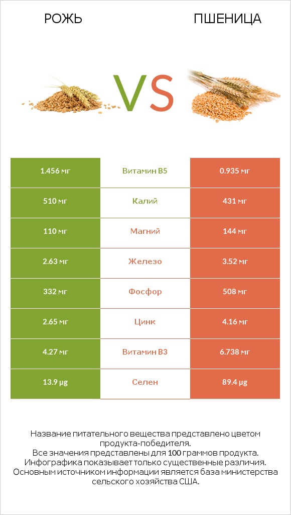Рожь vs Пшеница infographic