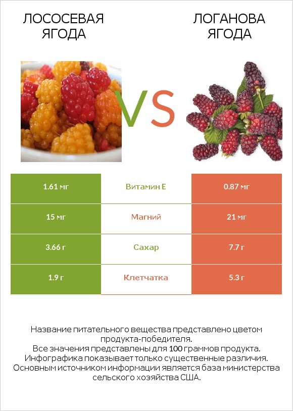 Лососевая ягода vs Логанова ягода infographic