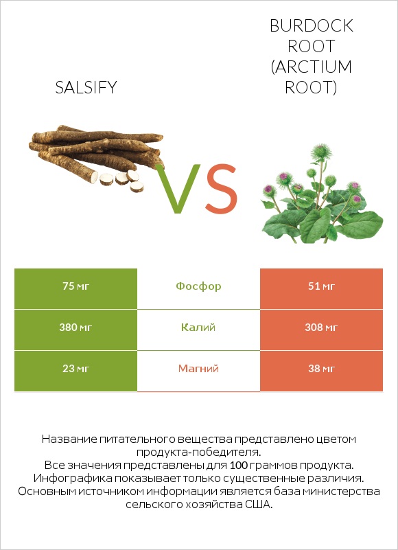Salsify vs Burdock root infographic