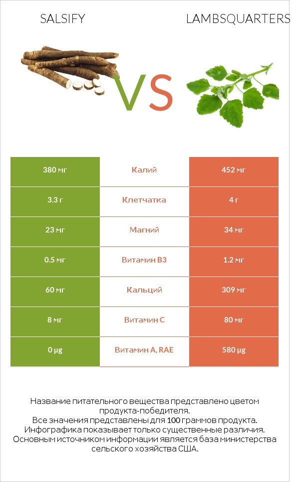 Salsify vs Lambsquarters infographic