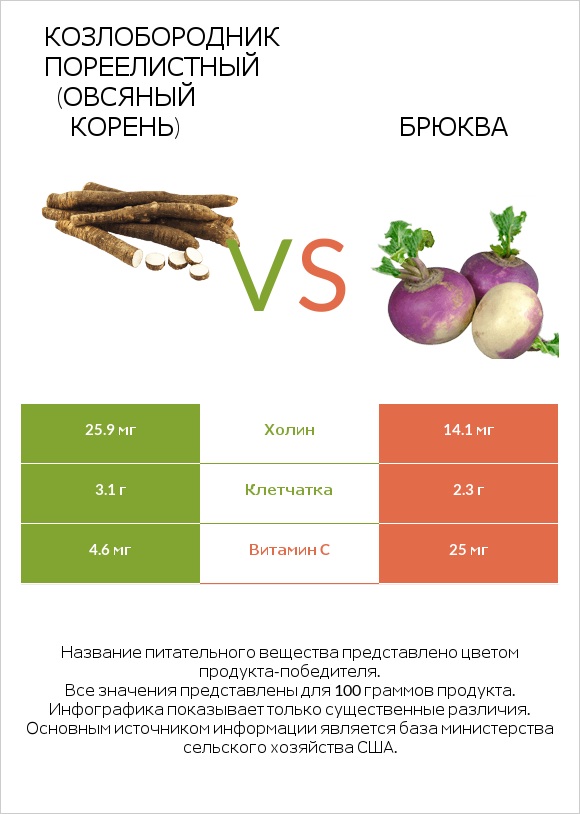 Salsify vs Брюква infographic