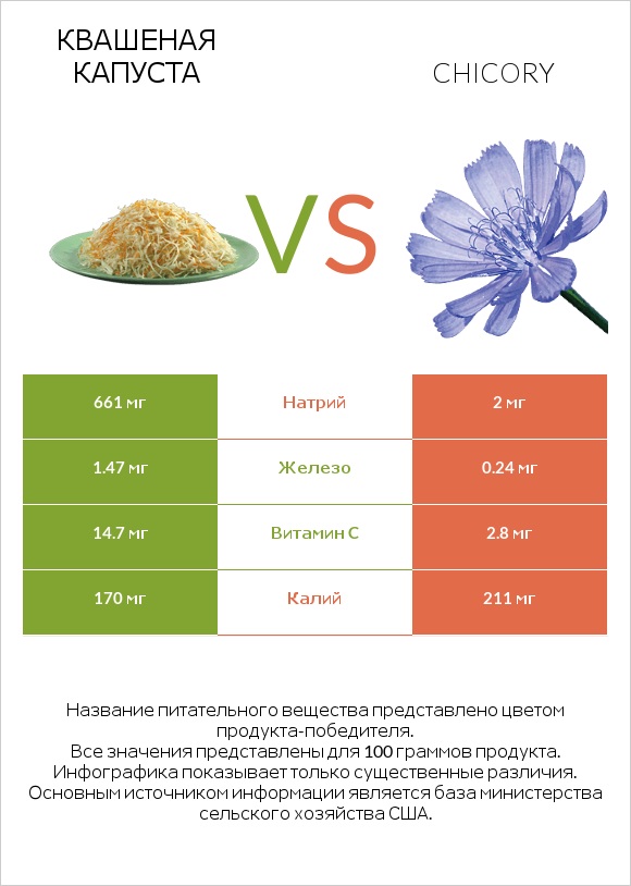 Квашеная капуста vs Chicory infographic