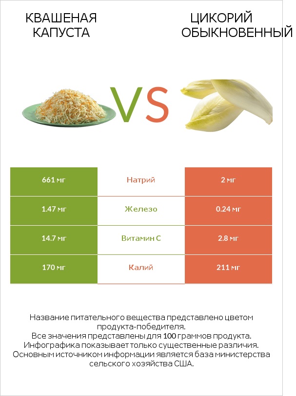 Квашеная капуста vs Цикорий обыкновенный infographic