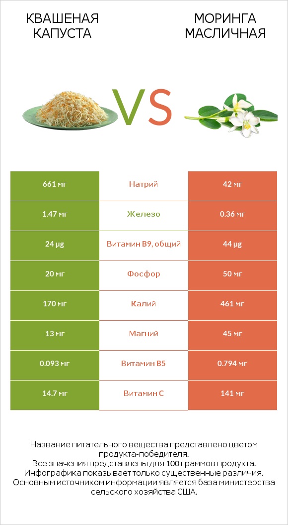 Квашеная капуста vs Моринга масличная infographic