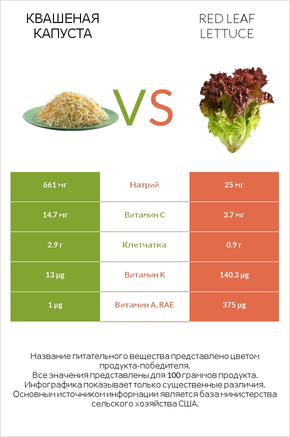 Квашеная капуста vs Red leaf lettuce infographic