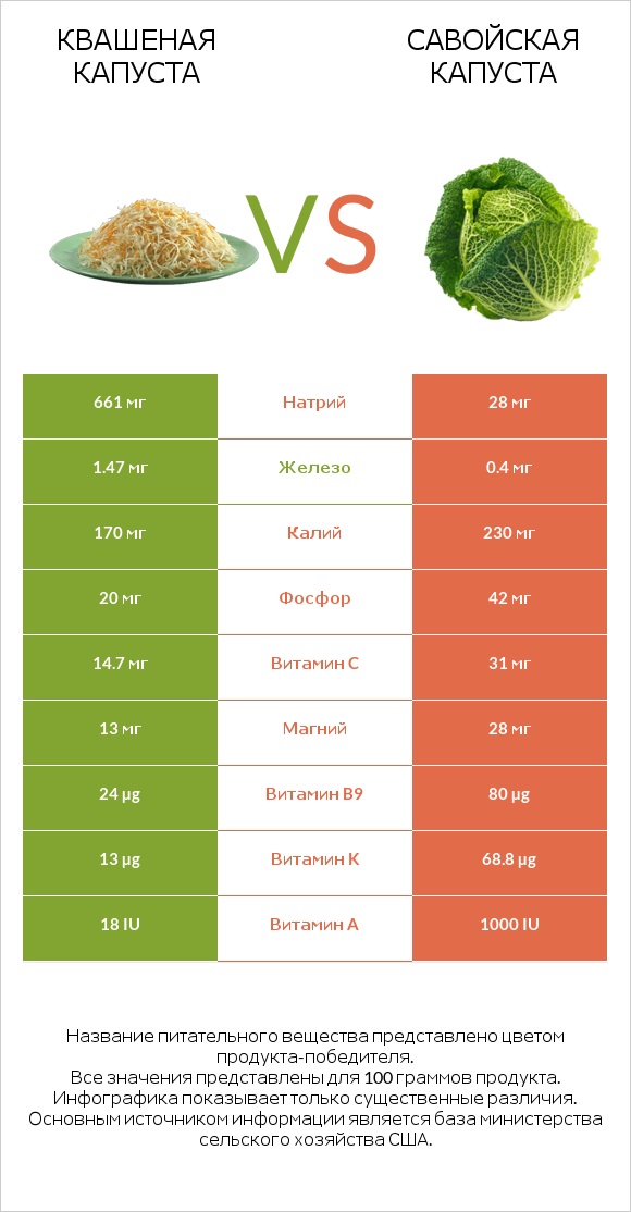 Квашеная капуста vs Савойская капуста infographic