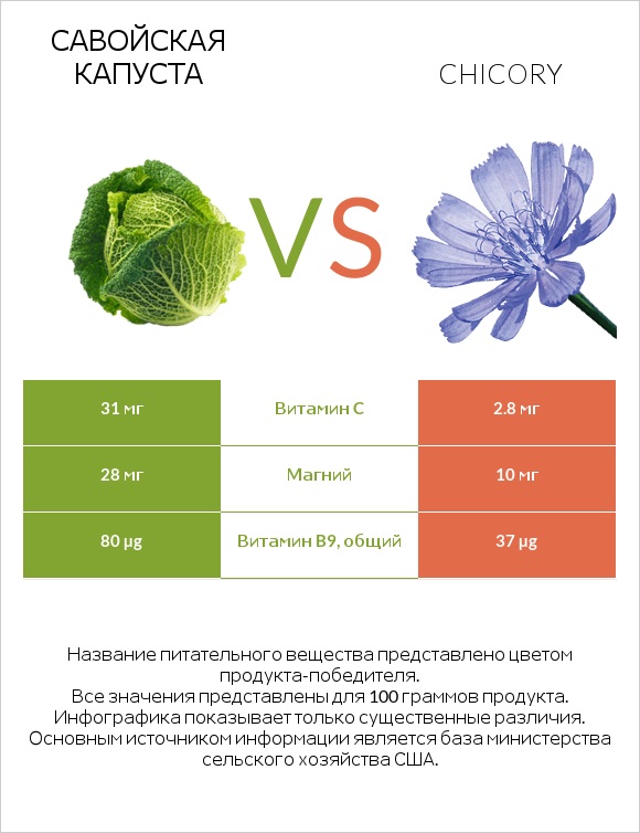 Савойская капуста vs Chicory infographic