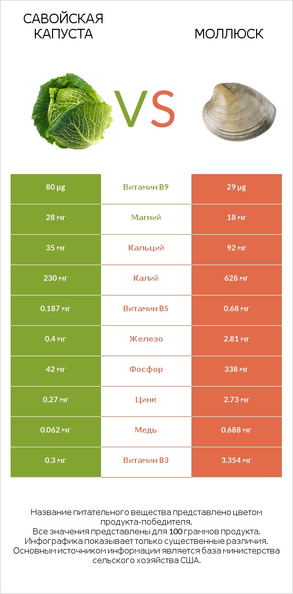 Савойская капуста vs Моллюск infographic