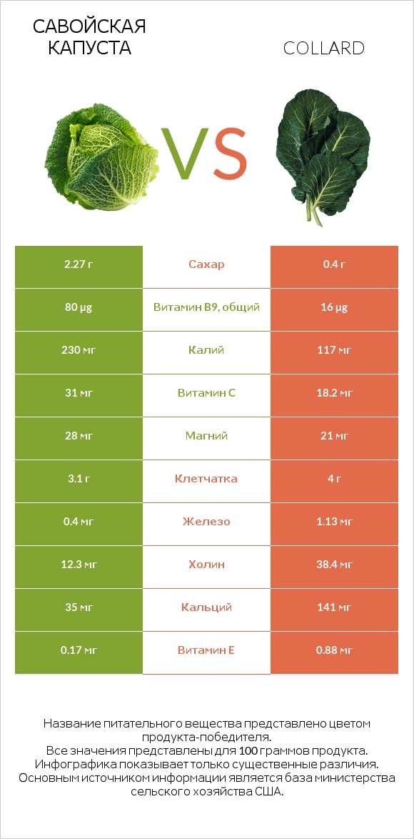 Савойская капуста vs Collard infographic
