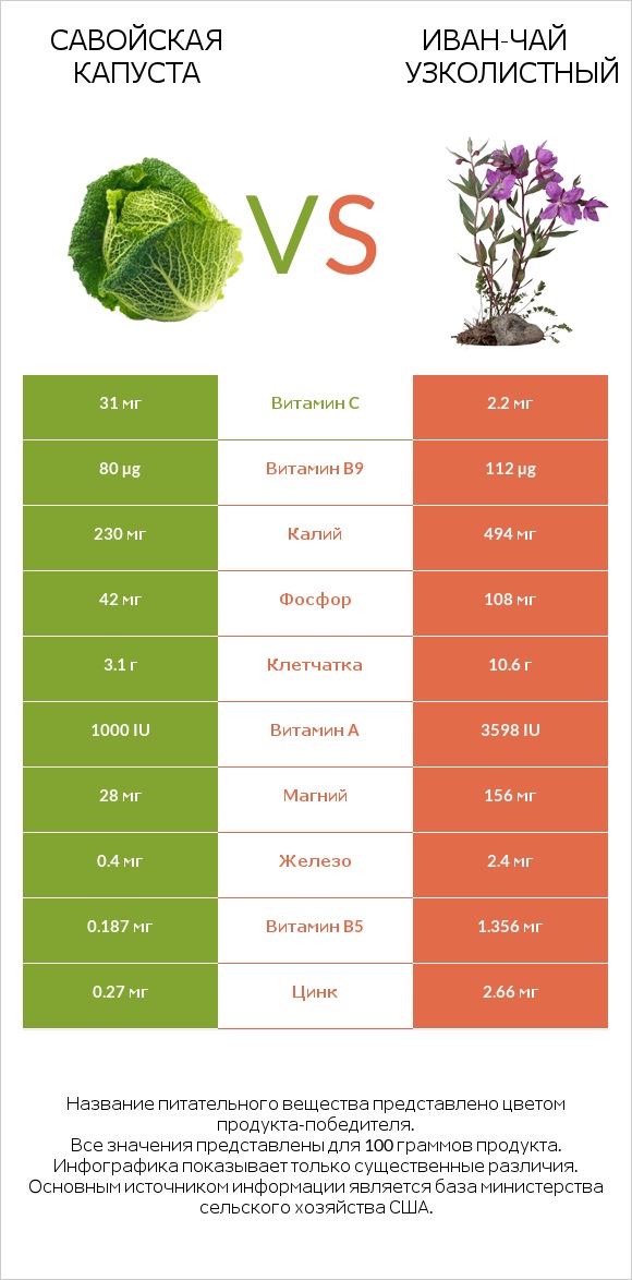 Савойская капуста vs Иван-чай узколистный infographic