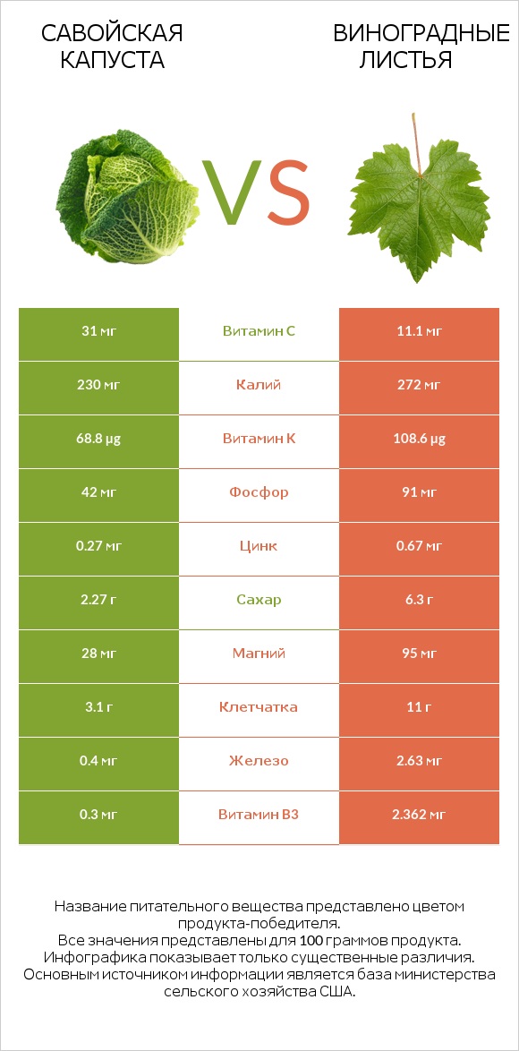 Савойская капуста vs Виноградные листья infographic