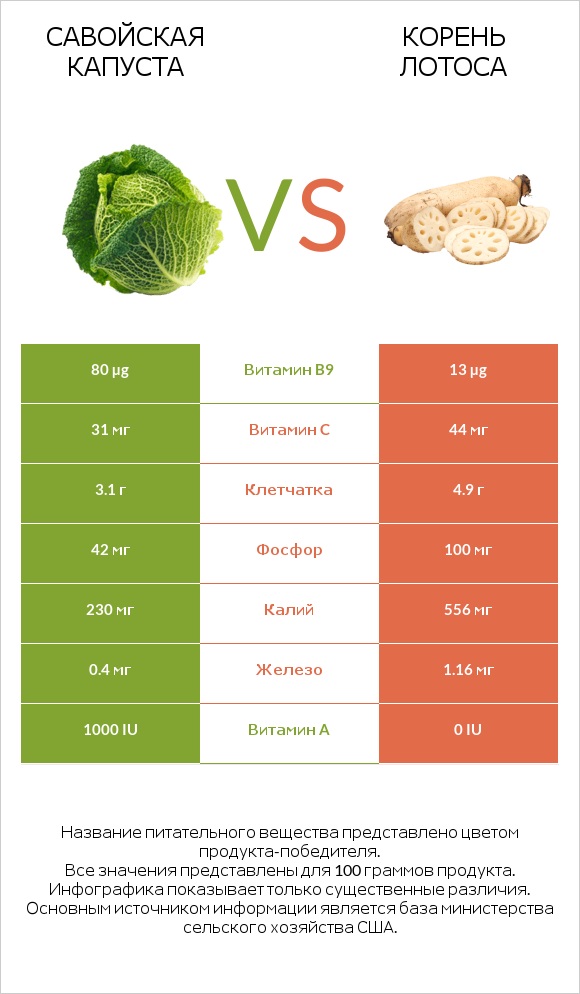 Савойская капуста vs Lotus root infographic