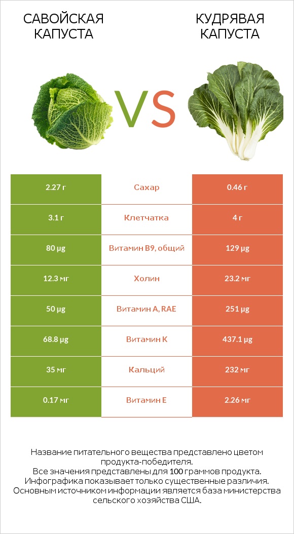 Савойская капуста vs Кудрявая капуста infographic