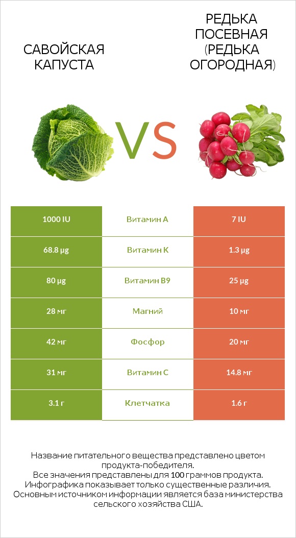 Савойская капуста vs Редька посевная (Редька огородная) infographic