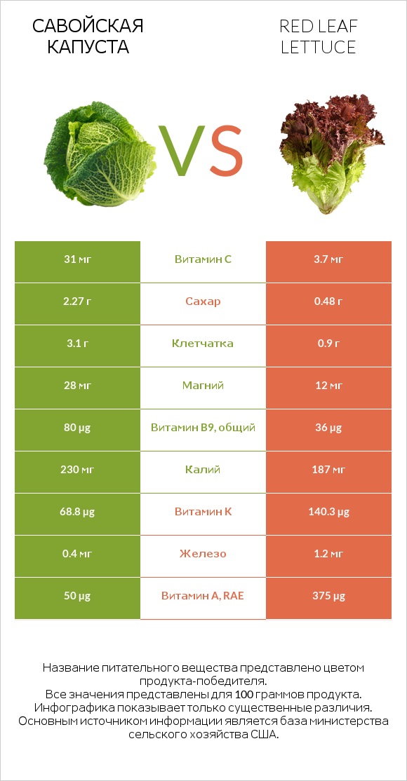Савойская капуста vs Red leaf lettuce infographic