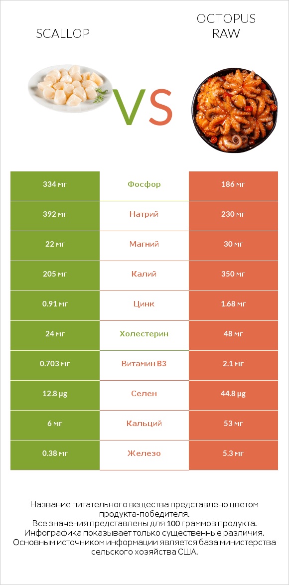 Scallop vs Octopus raw infographic