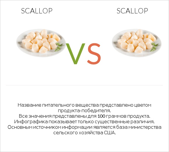 Scallop vs Scallop infographic